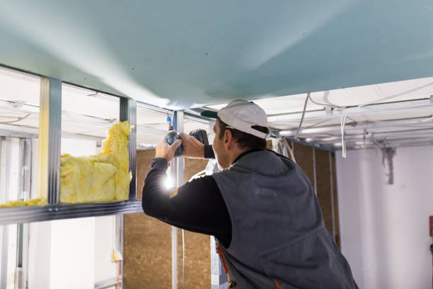 Best Insulation Repair Services  in On Top Of The World Designated Place, FL