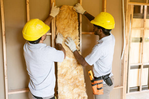 Insulation Inspection Services in On Top Of The World Designated Place, FL