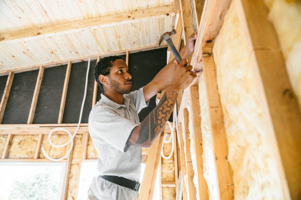 Best Blown-in Insulation  in On Top Of The World Designated Place, FL