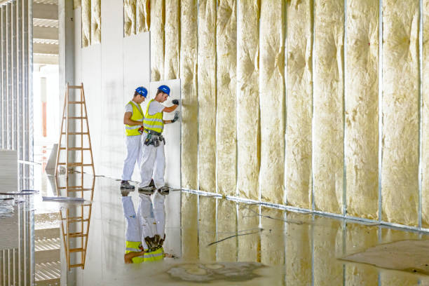 Best Cellulose Insulation  in On Top Of The World Designated Place, FL